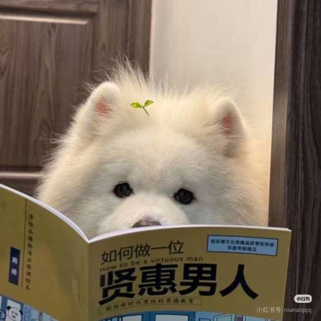 七月仅南风